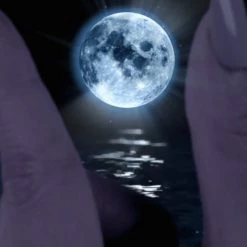 Wing Bling Casual Style Unisex Street Style Elegant Style For Women White X Free -Wing Bling Online Shop org 613