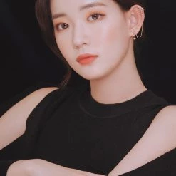 Wing Bling Casual Style Street Style Party Style Elegant Style Earrings For Women Pink X One Size -Wing Bling Online Shop org 6282