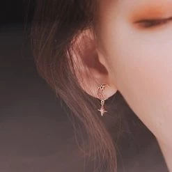 Wing Bling Casual Style Street Style Party Style Elegant Style Earrings For Women Pink X One Size -Wing Bling Online Shop org 6284