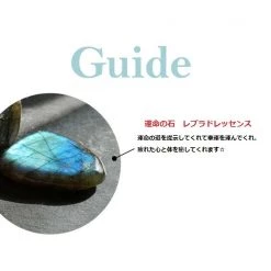 Wing Bling Casual Style Street Style Party Style Elegant Style Earrings For Women Pink Gold X One Size -Wing Bling Online Shop org 6295