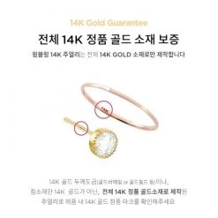 Wing Bling 14K Gold Earrings For Women Champagne X Piercing -Wing Bling Online Shop org 6467