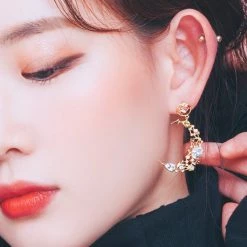 Wing Bling Casual Style Street Style Elegant Style Earrings For Women Silver X One Size -Wing Bling Online Shop org 647