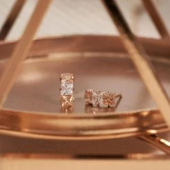 Wing Bling 14K Gold Earrings For Women Champagne X Piercing -Wing Bling Online Shop org 6474