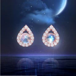 Wing Bling Earrings For Women No Color Specification X One Size