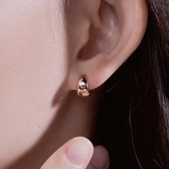 Wing Bling Earrings For Women No Color Specification X One Size -Wing Bling Online Shop org 6573