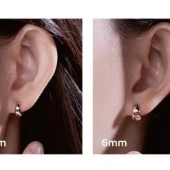 Wing Bling Earrings For Women No Color Specification X One Size -Wing Bling Online Shop org 6575