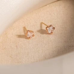 Wing Bling Earrings For Women No Color Specification X One Size -Wing Bling Online Shop org 6601