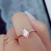 Wing Bling Rings For Women No Color Specification X One Size