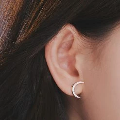 Wing Bling Earrings For Women No Color Specification X One Size -Wing Bling Online Shop org 6970