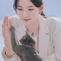 Wing Bling Earrings For Women No Color Specification X One Size 12 Wing Bling Earrings For Women No Color Specification X One Size -Wing Bling Online Shop org 7010