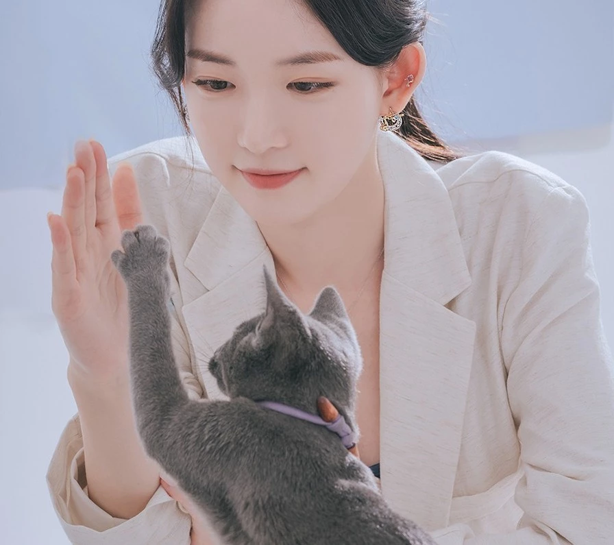 Wing Bling Earrings For Women No Color Specification X One Size 6 Wing Bling Earrings For Women No Color Specification X One Size - Image 4