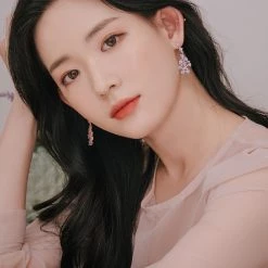 Wing Bling Casual Style Street Style Party Style Elegant Style Earrings For Women Silver (earrings) X One Size -Wing Bling Online Shop org 7105