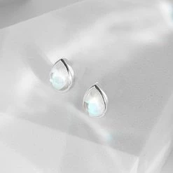 Wing Bling Silver Earrings For Women No Color Specification X One Size -Wing Bling Online Shop org 7126