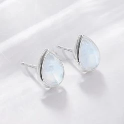 Wing Bling Silver Earrings For Women No Color Specification X One Size -Wing Bling Online Shop org 7127