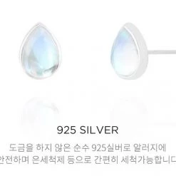 Wing Bling Silver Earrings For Women No Color Specification X One Size -Wing Bling Online Shop org 7132