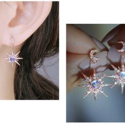 Wing Bling Casual Style Street Style Elegant Style Earrings For Women Silver X One Size -Wing Bling Online Shop org 7237