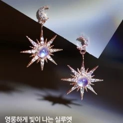 Wing Bling Casual Style Street Style Elegant Style Earrings For Women Silver X One Size -Wing Bling Online Shop org 7239