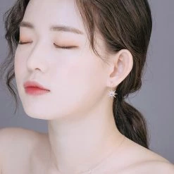 Wing Bling Casual Style Street Style Elegant Style Earrings For Women Silver X One Size -Wing Bling Online Shop org 7241