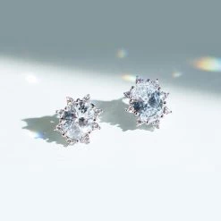 Wing Bling Earrings For Women No Color Specification X One Size