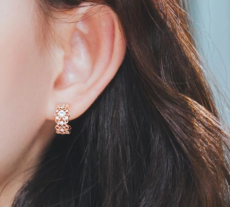 Wing Bling Earrings For Women No Color Specification X One Size 6 Wing Bling Earrings For Women No Color Specification X One Size - Image 4