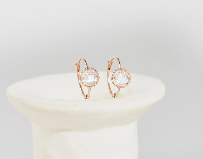 Wing Bling Earrings For Women No Color Specification X One Size 6 Wing Bling Earrings For Women No Color Specification X One Size - Image 4