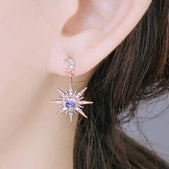 Wing Bling Casual Style Party Style Elegant Style Earrings For Women Silver (pierce) X One Size -Wing Bling Online Shop org 908