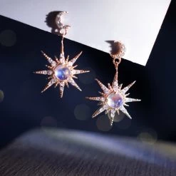 Wing Bling Casual Style Party Style Elegant Style Earrings For Women Silver (pierce) X One Size -Wing Bling Online Shop org 909