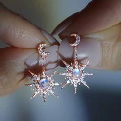 Wing Bling Casual Style Party Style Elegant Style Earrings For Women Silver (pierce) X One Size -Wing Bling Online Shop org 911