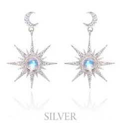 Wing Bling Casual Style Party Style Elegant Style Earrings For Women Silver (pierce) X One Size -Wing Bling Online Shop org 913